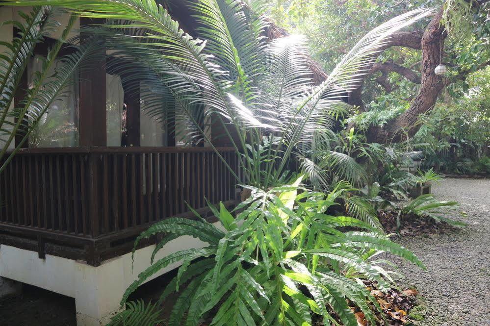 Blue Bayou Bungalows Balabag  Kültér fotó